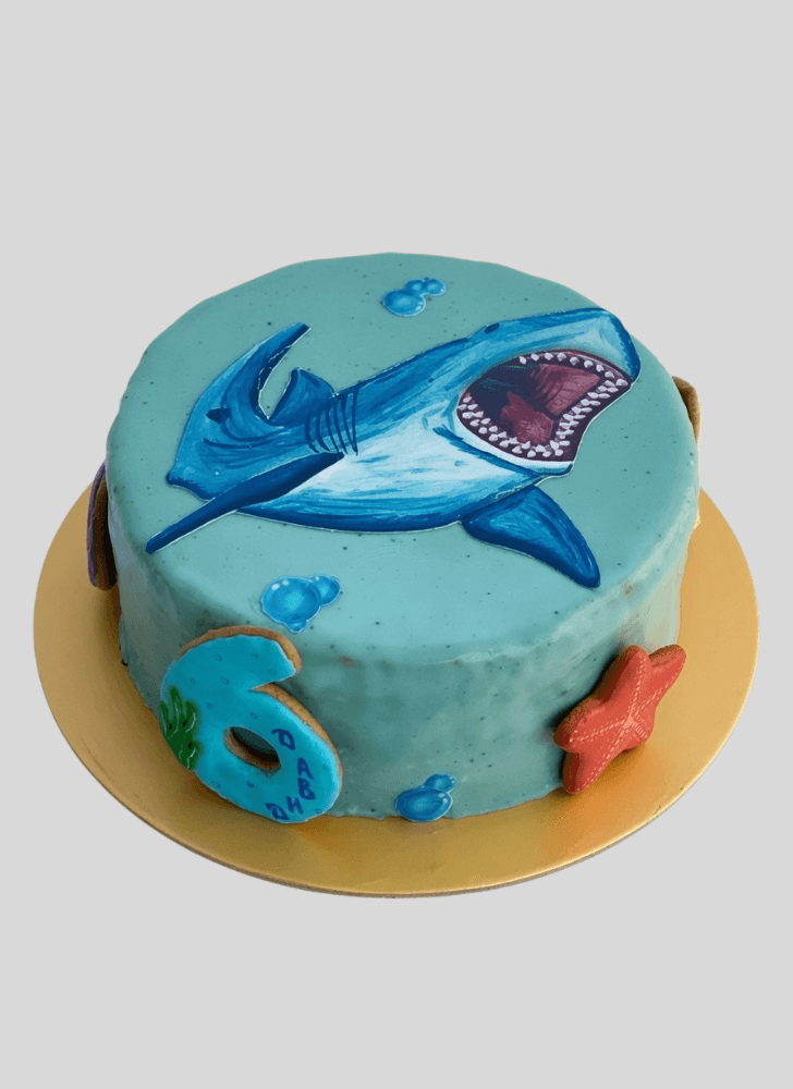 Exquisite Shark Cake