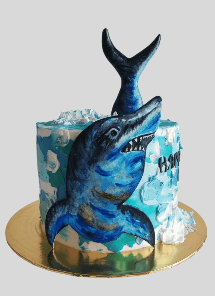 Fetching Shark Cake
