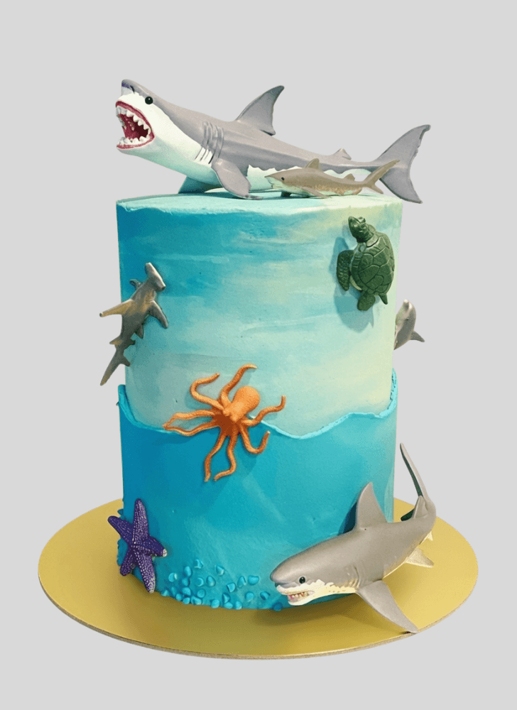 Fine Shark Cake