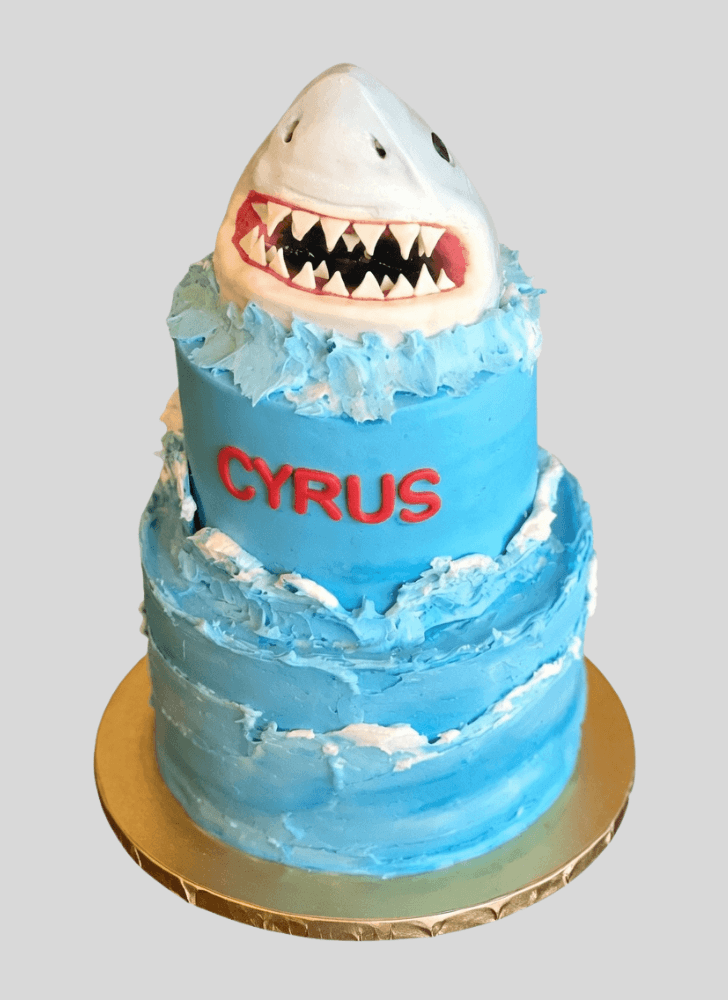 Graceful Shark Cake