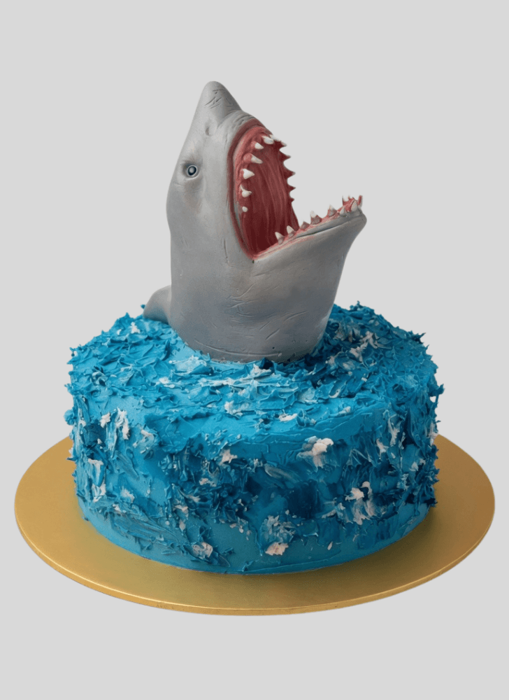 Lovely Shark Cake Design