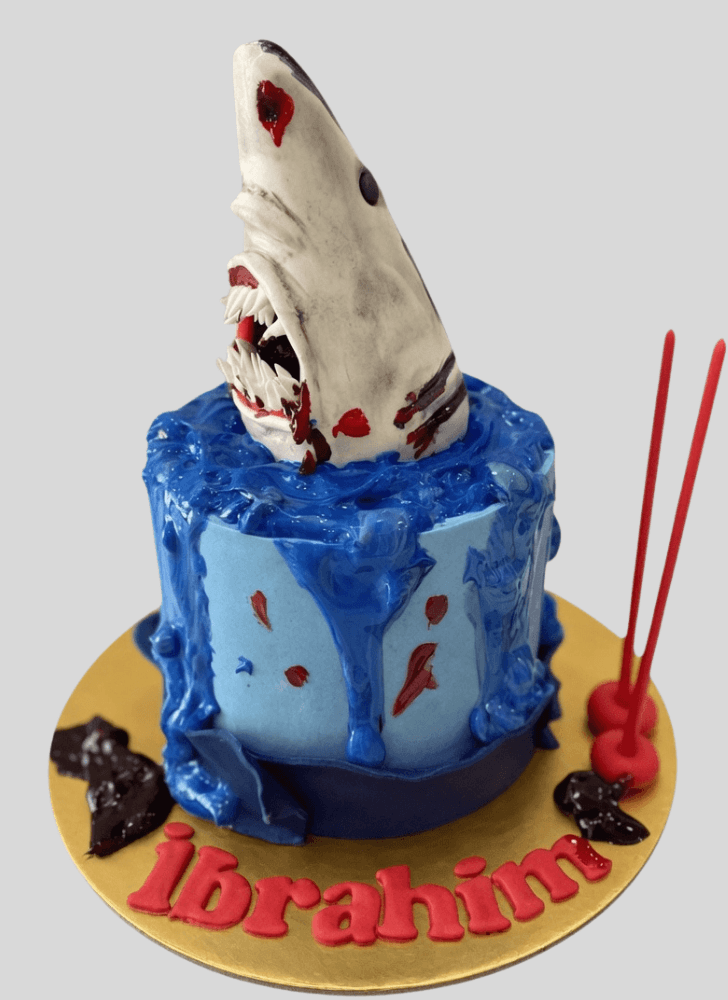 Magnetic Shark Cake