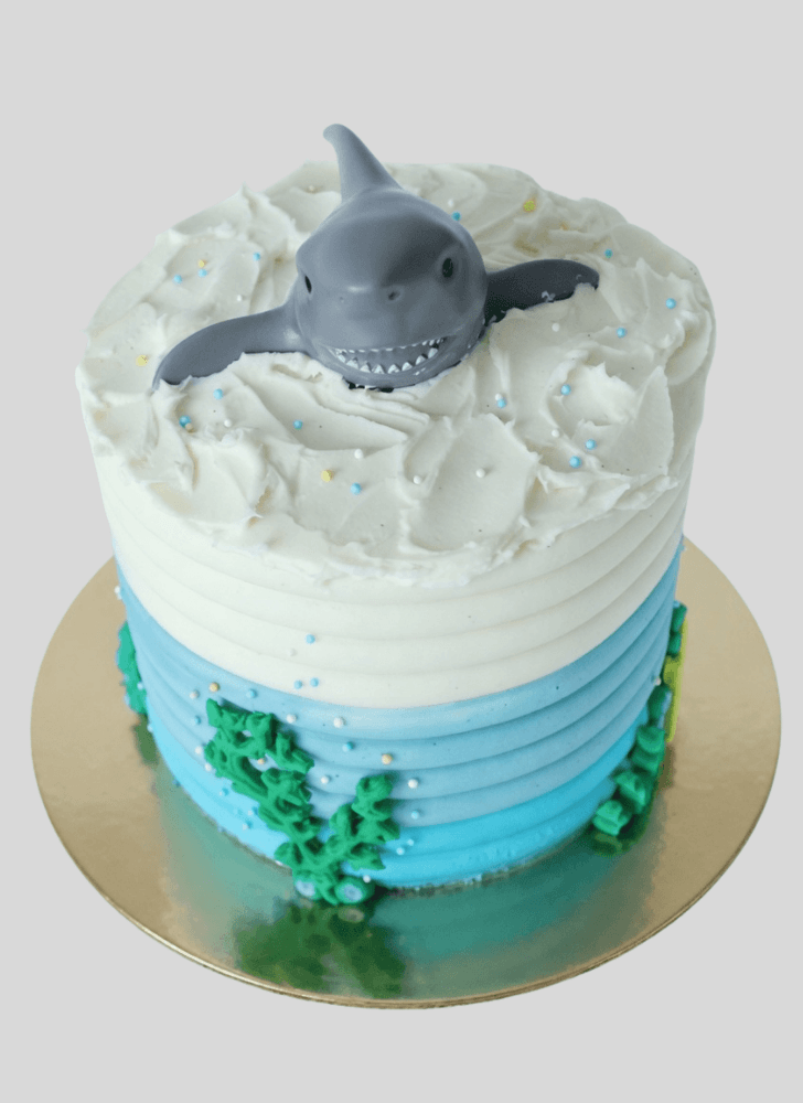 Marvelous Shark Cake