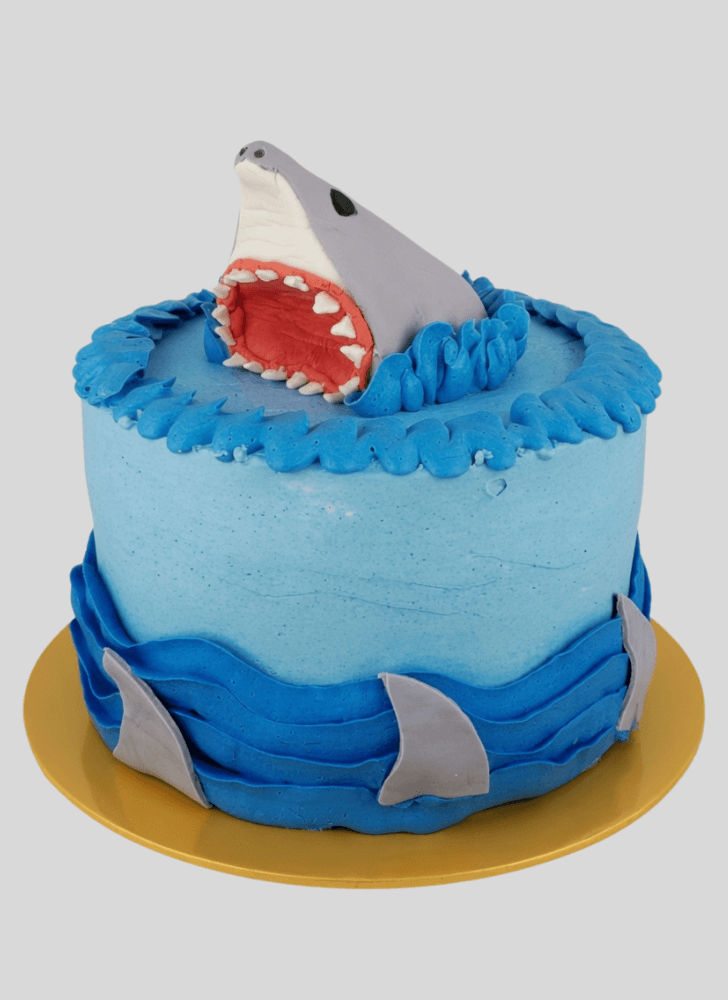 Nice Shark Cake