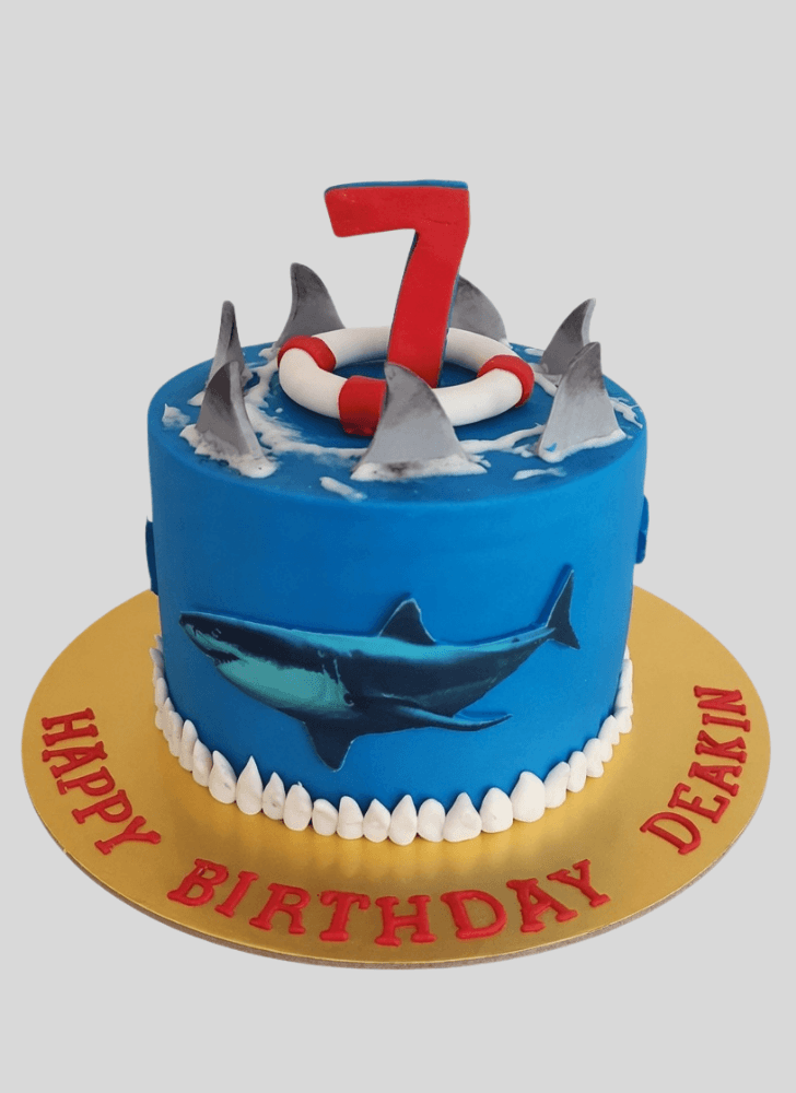 Slightly Shark Cake