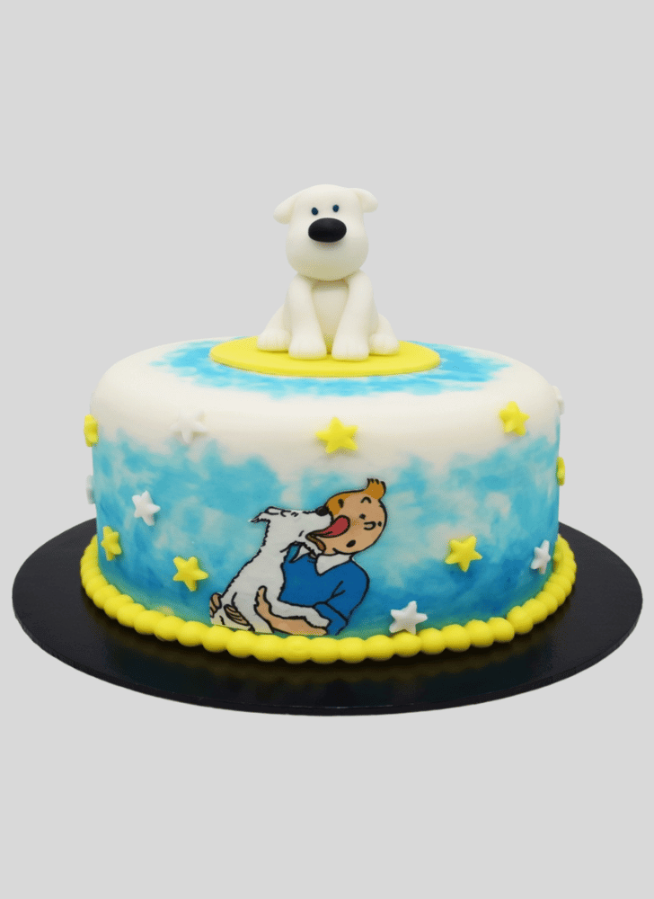 Bewitching Tintin Cake