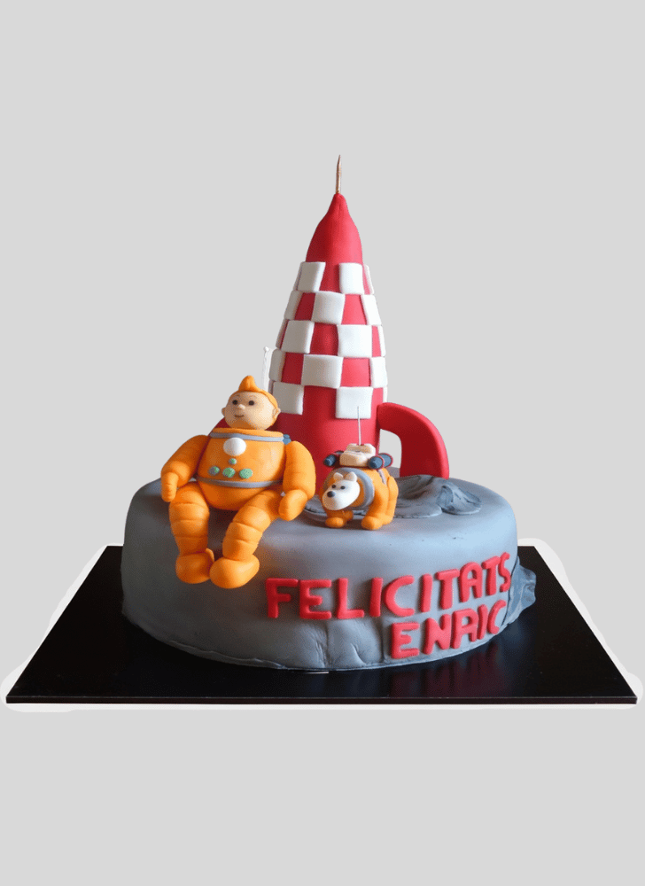 Nice Tintin Cake