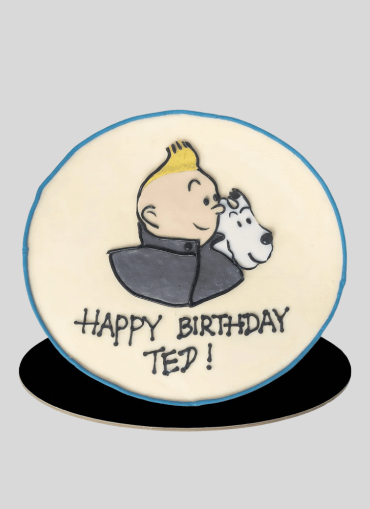 Shapely Tintin Cake