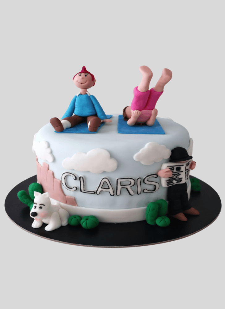 Splendid Tintin Cake