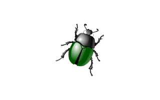 Beetle Bug