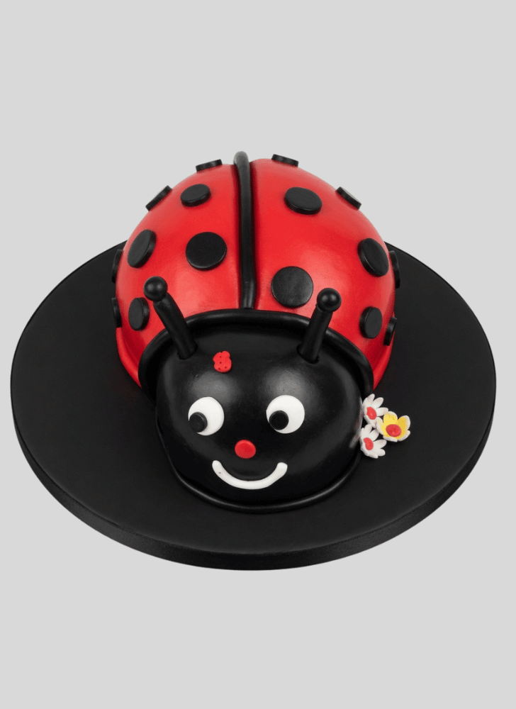 Admirable Beetle Cake Design
