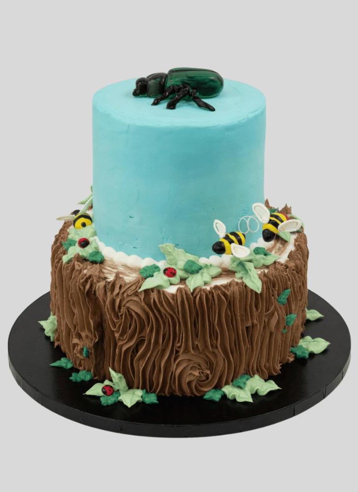 Adorable Beetle Cake