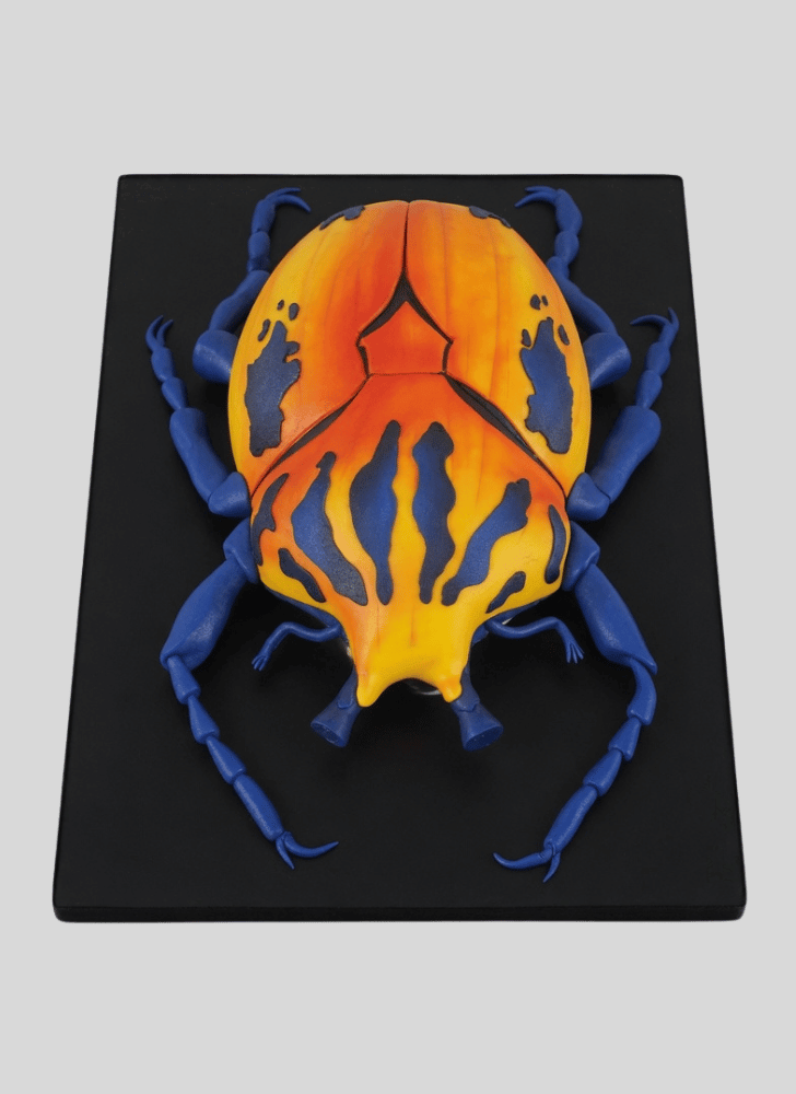 Alluring Beetle Cake