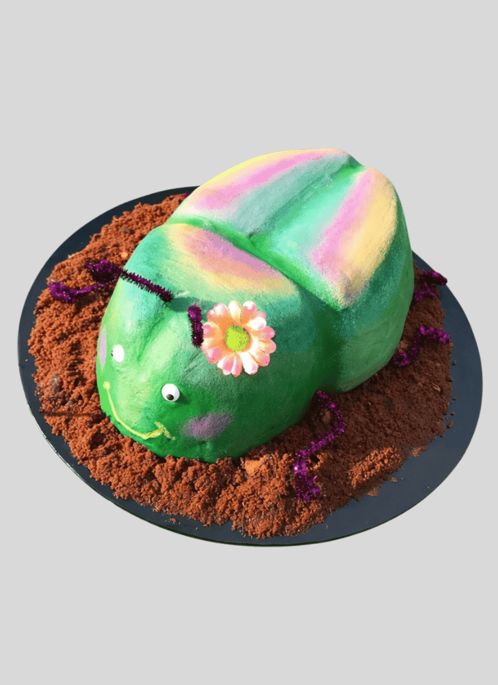 Appealing Beetle Cake