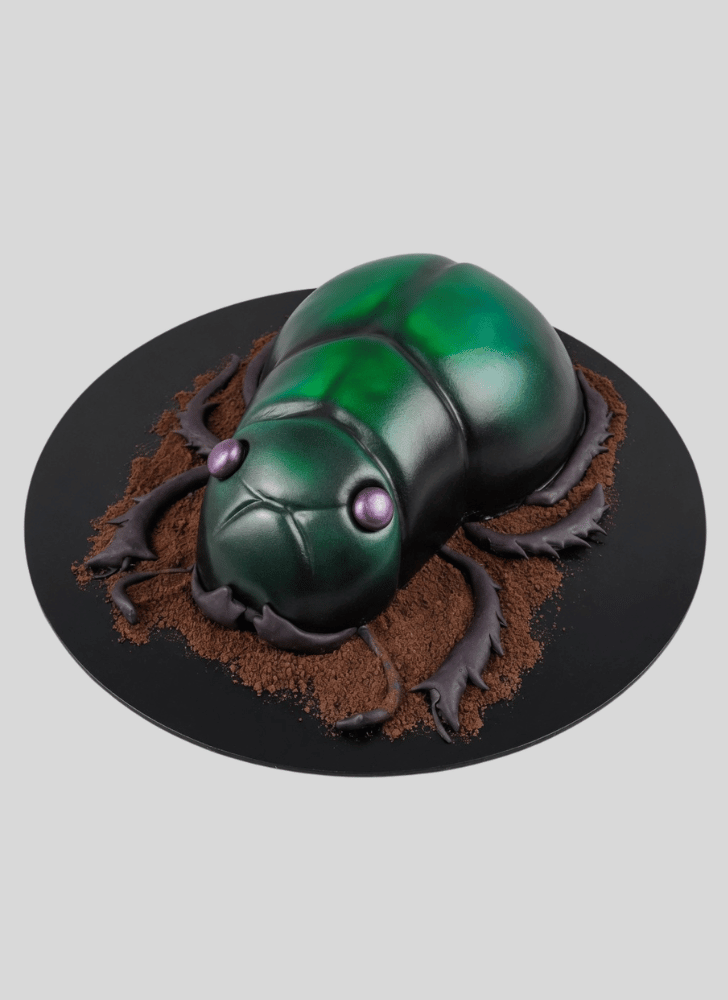 Bewitching Beetle Cake