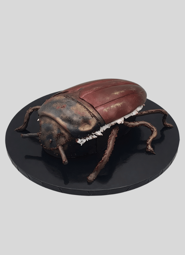 Charming Beetle Cake
