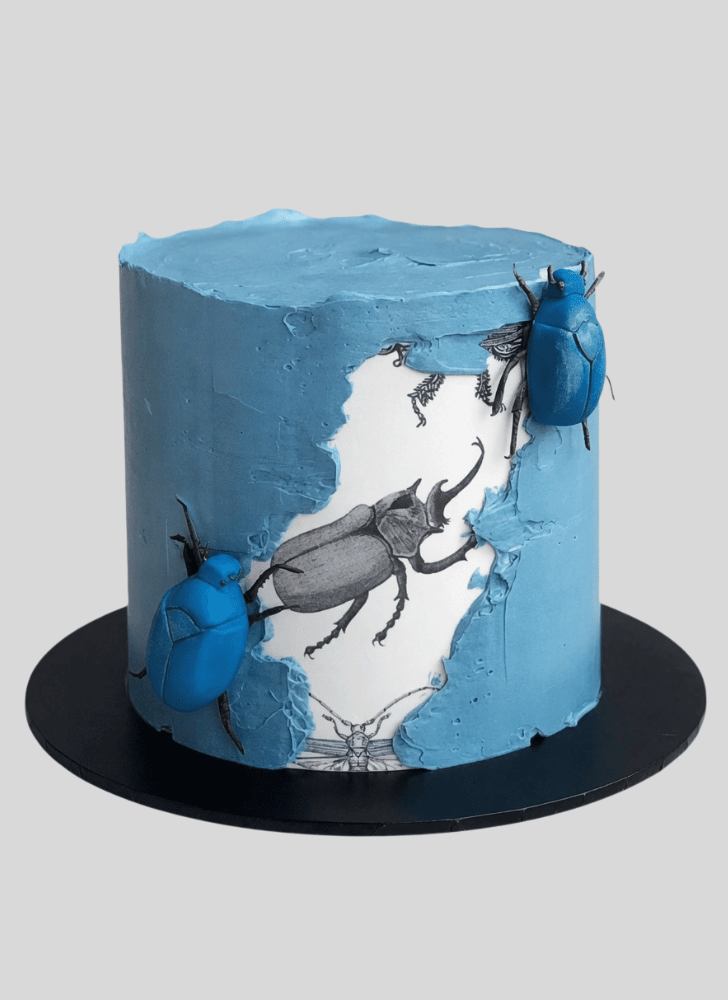 Classy Beetle Cake