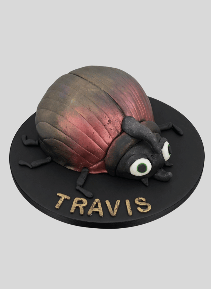 Comely Beetle Cake