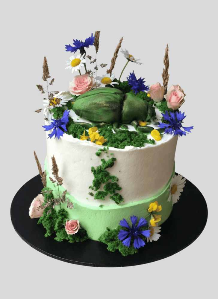 Cute Beetle Cake