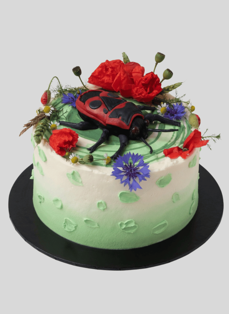 Dazzling Beetle Cake