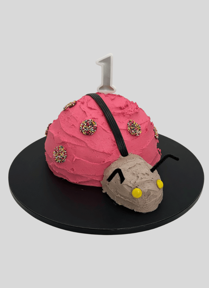 Delicate Beetle Cake