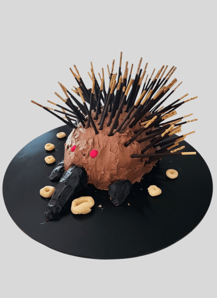 Admirable Echidna Cake Design