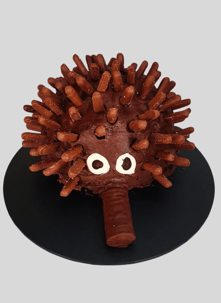 Adorable Echidna Cake
