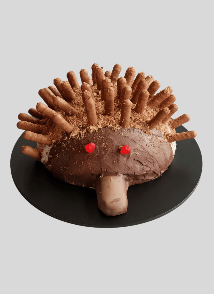 Alluring Echidna Cake