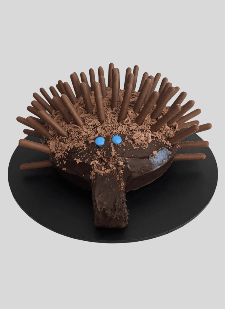 Angelic Echidna Cake