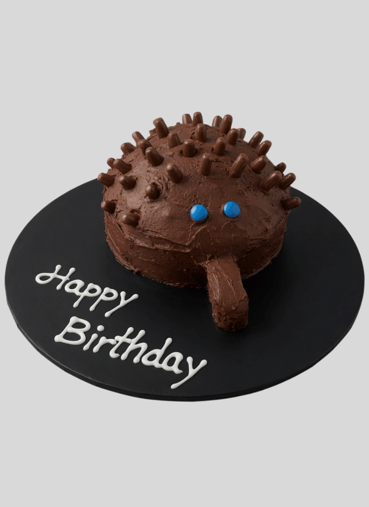 Appealing Echidna Cake