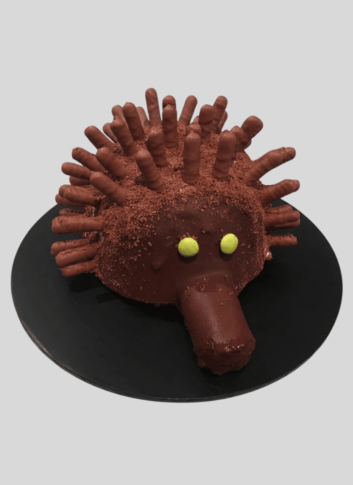 Beauteous Echidna Cake