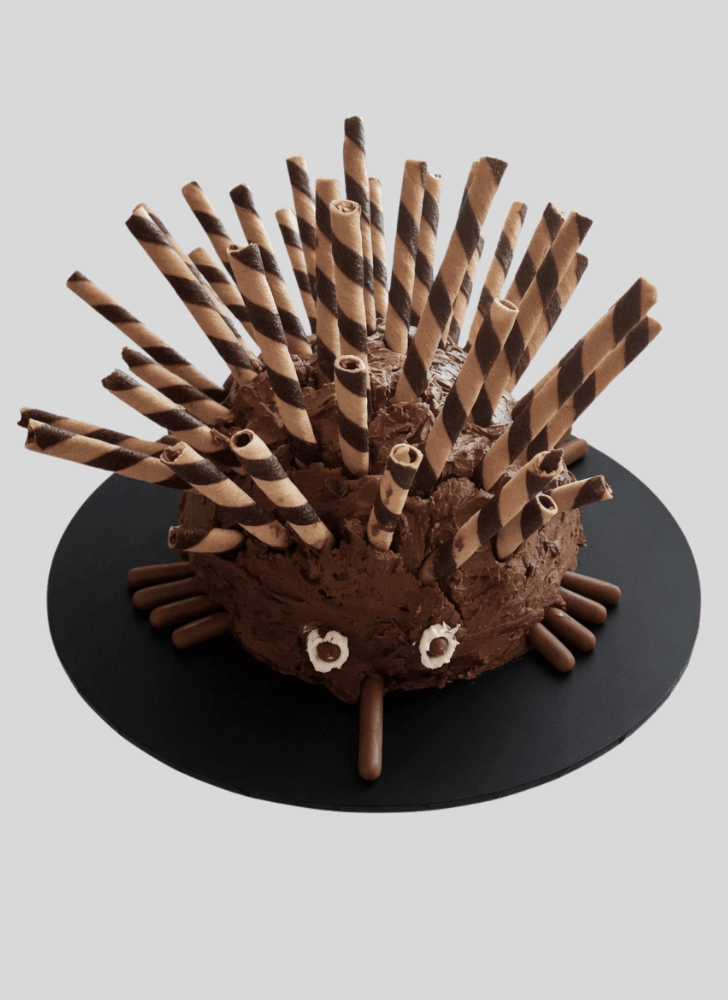 Captivating Echidna Cake