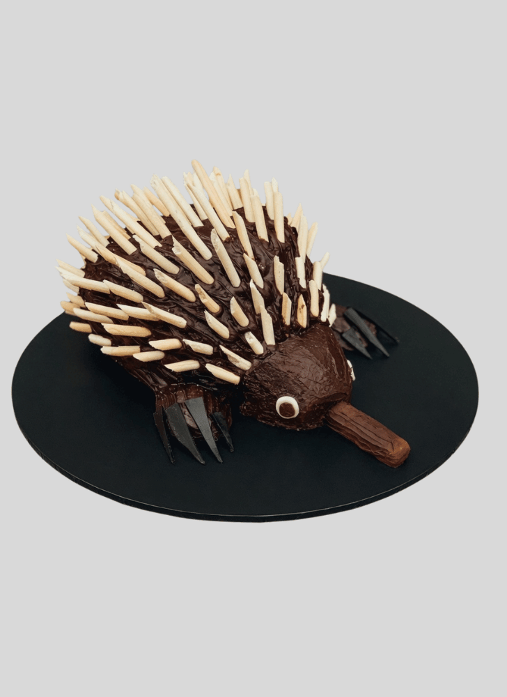 Charming Echidna Cake