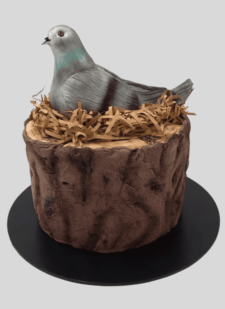 Comely Pigeon Cake