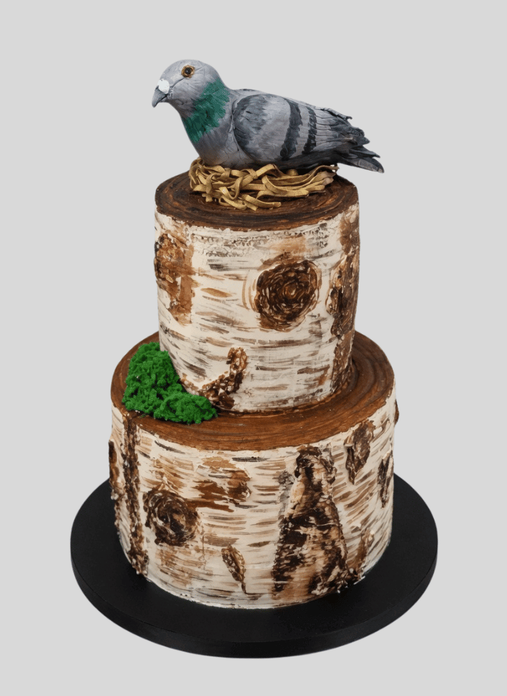 Fascinating Pigeon Cake