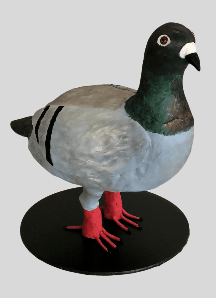 Fetching Pigeon Cake