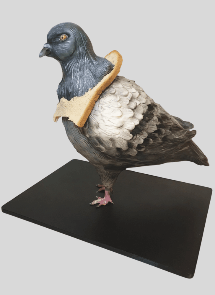 Magnetic Pigeon Cake