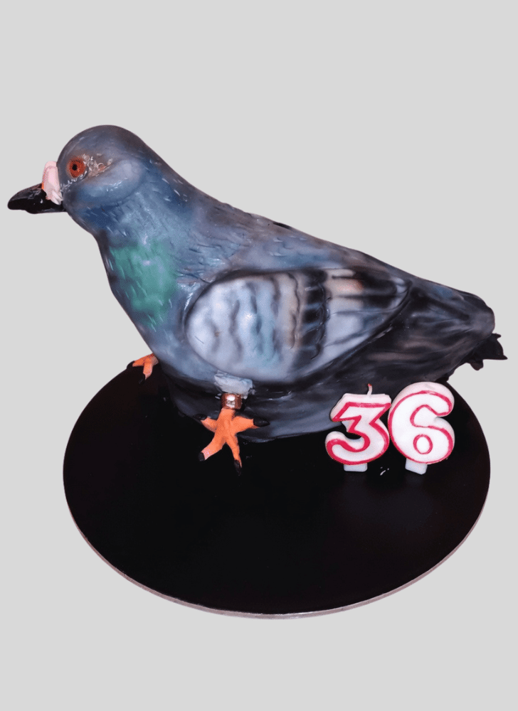 Ravishing Pigeon Cake