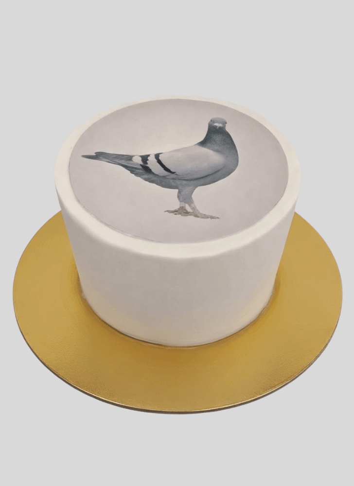 Resplendent Pigeon Cake