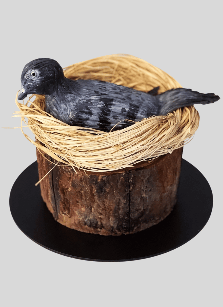 Shapely Pigeon Cake