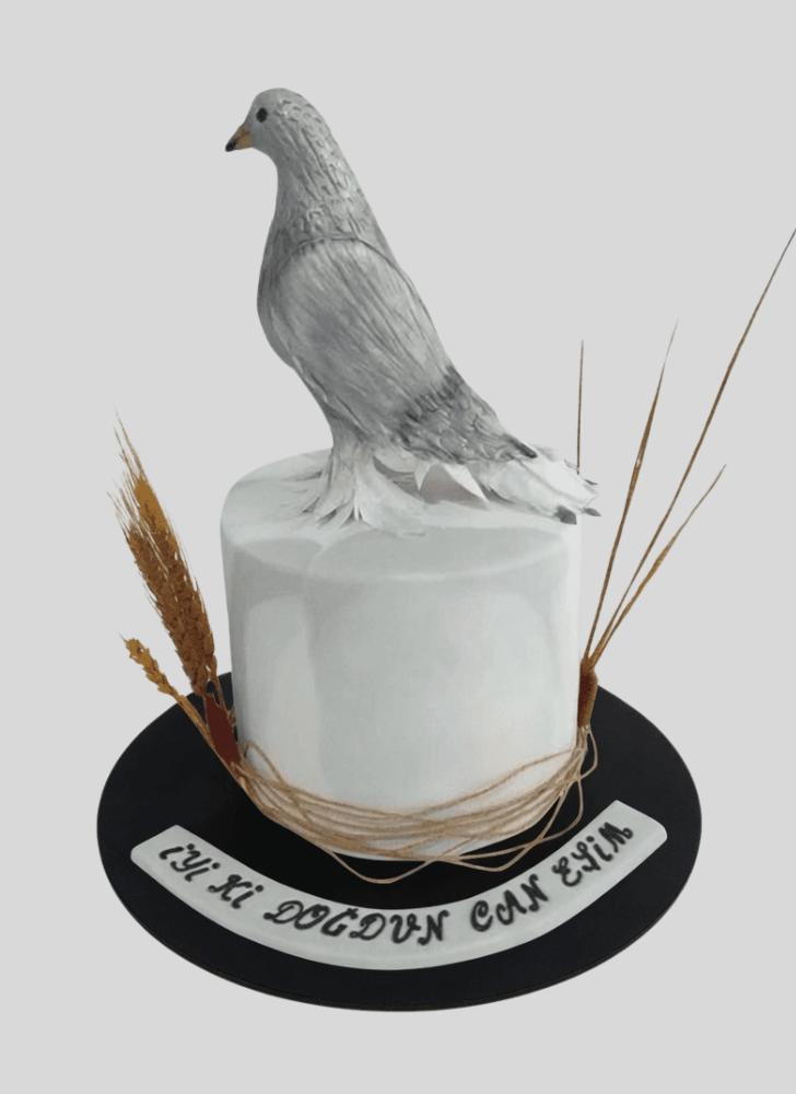 Splendid Pigeon Cake