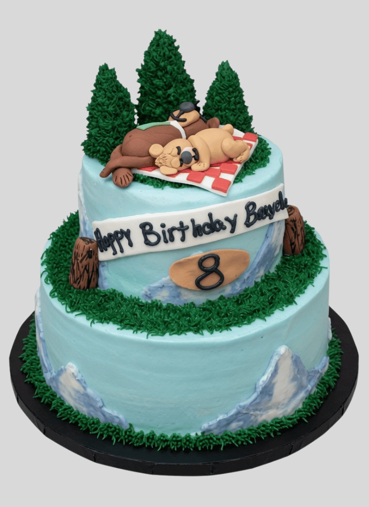 Bewitching Yogi Bear Cake