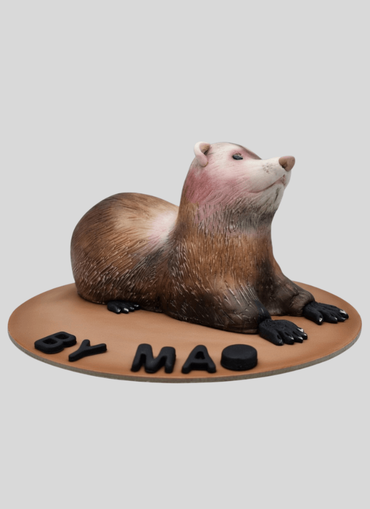 Bewitching Ferret Cake