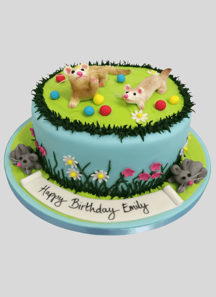 Dazzling Ferret Cake