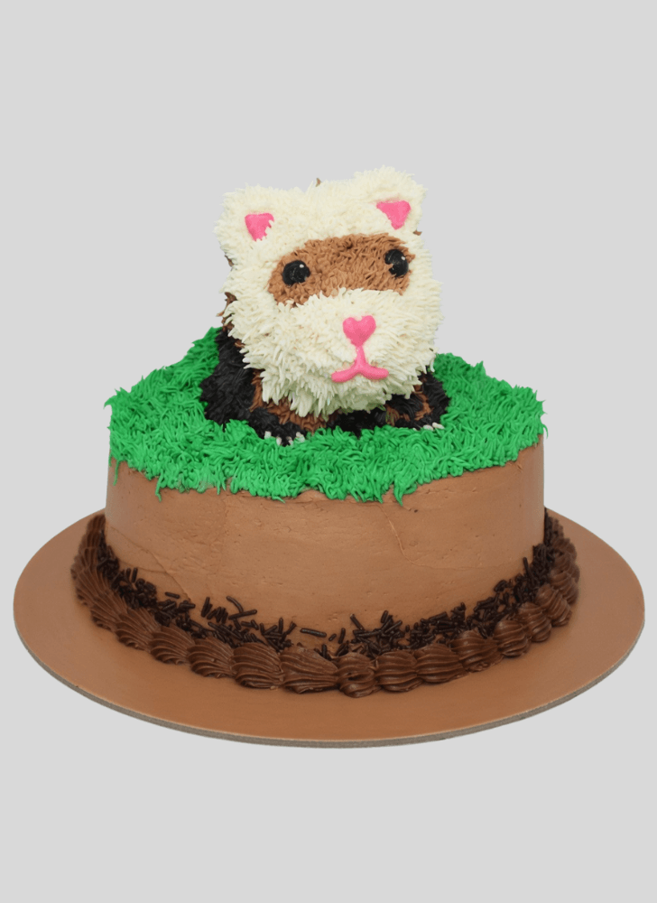 Delightful Ferret Cake