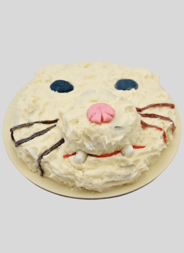 Divine Ferret Cake