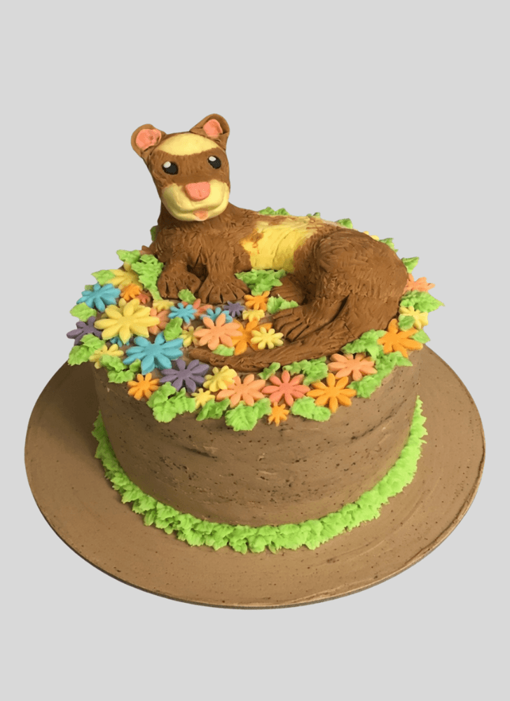 Enticing Ferret Cake