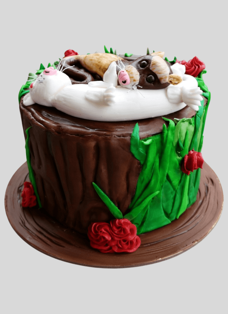 Excellent Ferret Cake
