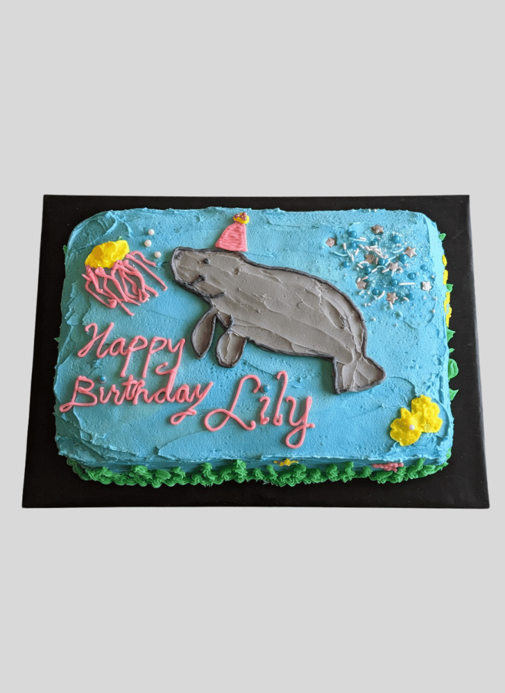 Alluring Manatee Cake