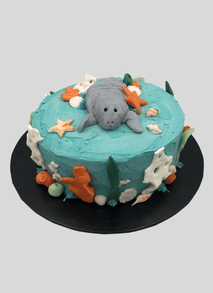 Beauteous Manatee Cake